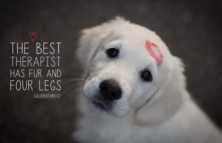 puppy quote